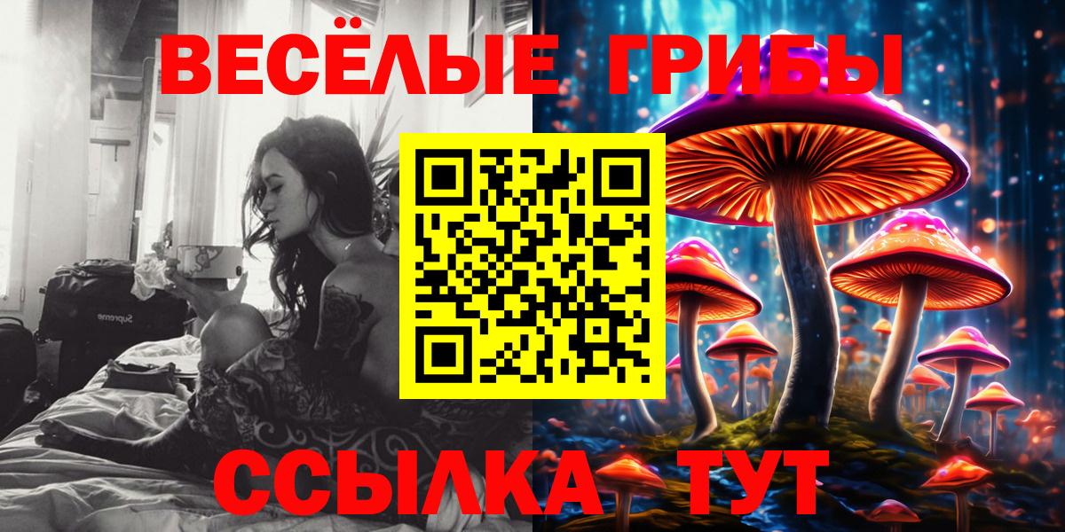 Галлюциногенные грибы прущие грибы Мичуринск