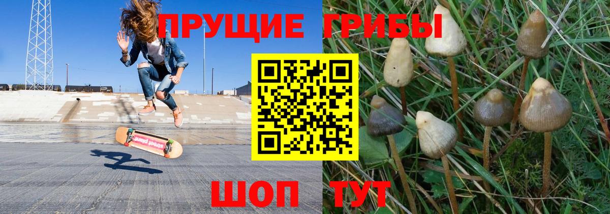 Галлюциногенные грибы Magic Shrooms  Псилоцибиновые грибы Psilocybine cubensis  закладки  Вход с VPN  Мичуринск 